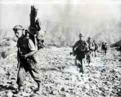 ���� ������ ��� ��� ����